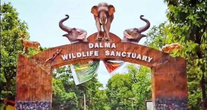Dalma Wildlife Sanctuary